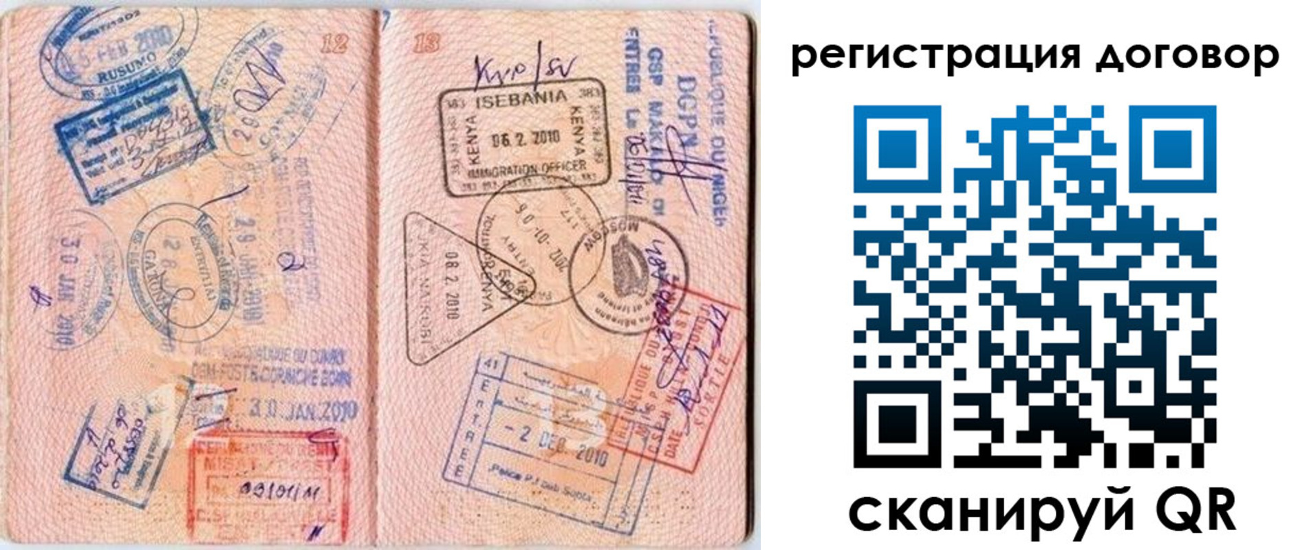 прописка поиск в Купино